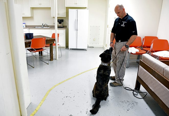 New York State Police K-9 officers work with the newest class of K-9s at the canine unit's training and command center in Cooperstown. Due to changing drug laws, NYS Police K-9s will no longer be trained to detect marijuana.