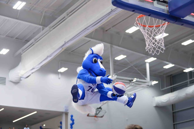 Bluecoats mascot Coaty dunks the ball in the second half of a NBA G-League regular season basketball game between the Bluecoats and the Maine Red Claws (Boston Celtics) Saturday, Nov. 09, 2019, at the 76ers Fieldhouse in Wilmington, DE